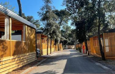Mobile Home Lena - Biograd - Foto 2