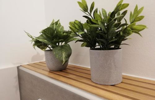 Künstler-Suite 7 - Köln, Netflix, Phantasialand - Foto 34