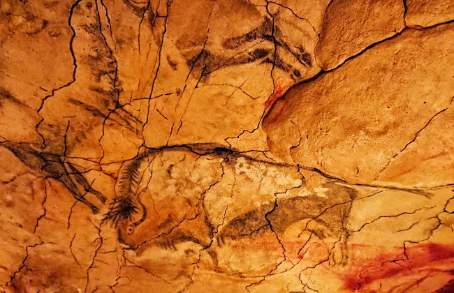 Escursione ad Altamira e Santillana del Mar - Foto 7