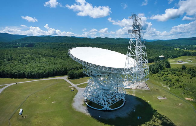 Leatherbark - Foto 26