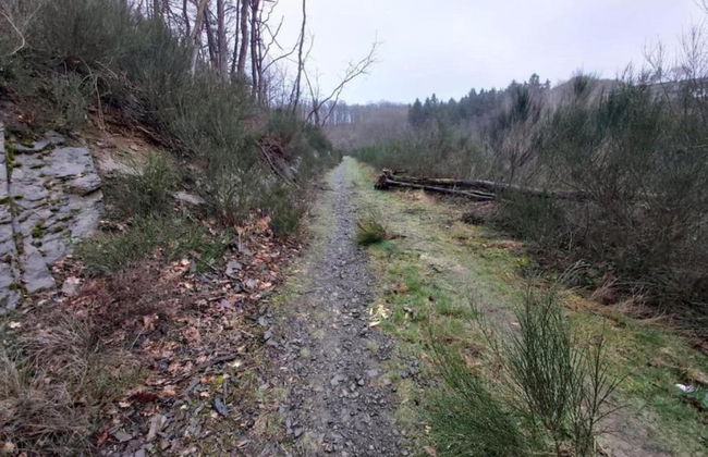 Lodge in Ardennes Near La Roche Center - Photo 18