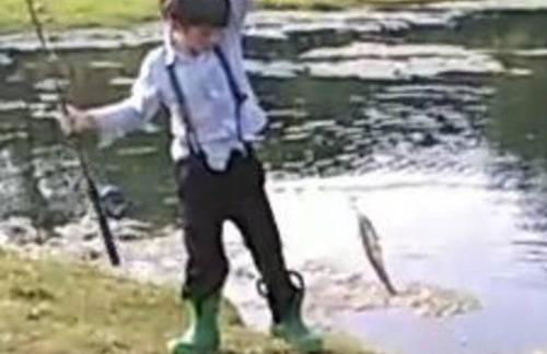 Amish Country Stay w/ Buggy Ride - Foto 37