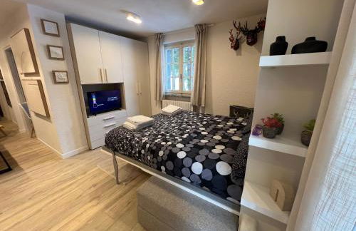 Rosina appartamento Madesimo centro - Foto 33