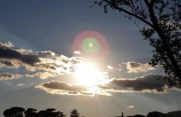 La Mimosa - Photo 31