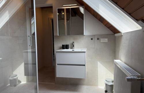 Rebenblick Dachsuite in historischem Gebäude aus 1840 - Foto 38