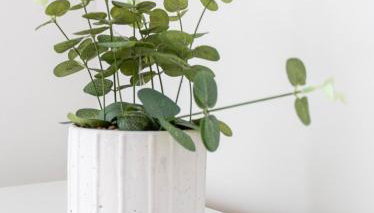 Castlegreen Apartment - Foto 5, Other