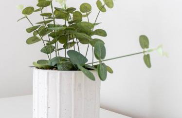 Castlegreen Apartment - Foto 5