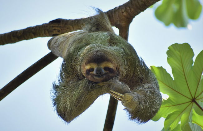 Vista Oceana, Stunning Ocean View Villa - Foto 46