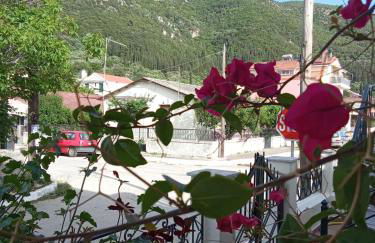 Nostalgia Apartments B Plus in Sami 50 meters from the sea - Foto 37