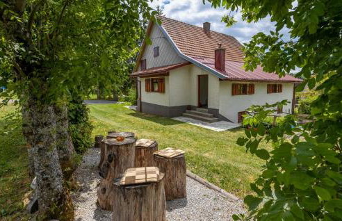 Gorgeous Home In Ravna Gora With Wifi - Foto 1
