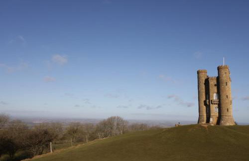 Alstroemeria - Photo 21