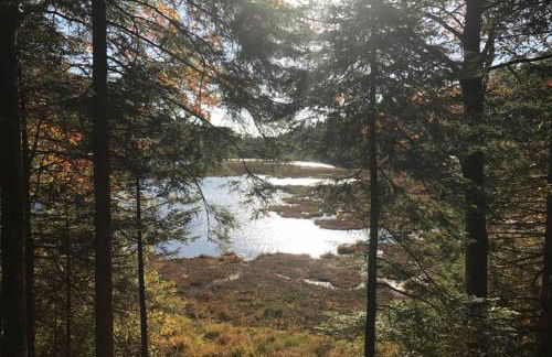 Lullaby House - Large, full comfort 5 star chalet house in the Vosges - Foto 38