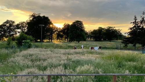 Ferienhof Bühne - Foto 4