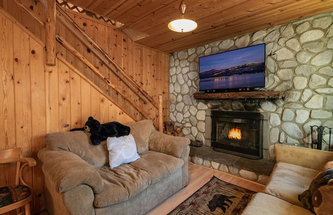 Bear Pause - Foto 15