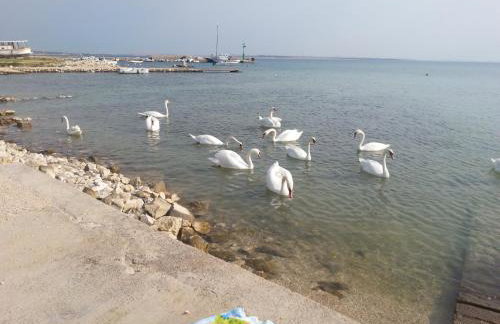 New Kosljun Apartment short walk to Beach - Photo 3