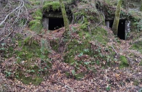 Casa do Corgo - Foto 34