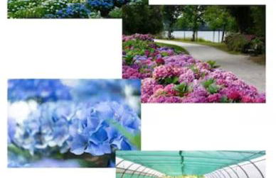 Landon Cottage - Foto 17