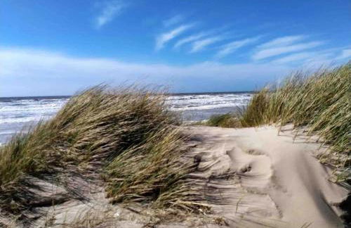 Appartement au gré des bulles - Foto 12