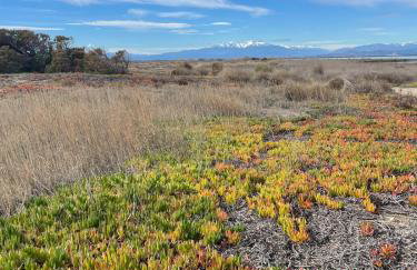 Relaxation AquatiqueGarantie100% - Foto 75