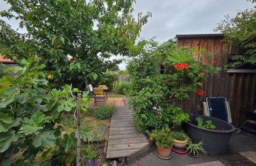 Studio bois avec terrasse et jardin bassin et océan - Foto 6