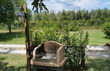 Podere Serena - Foto 9