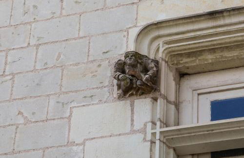 Appartement raffiné vue cathédrale, jardin, wifi - Photo 18