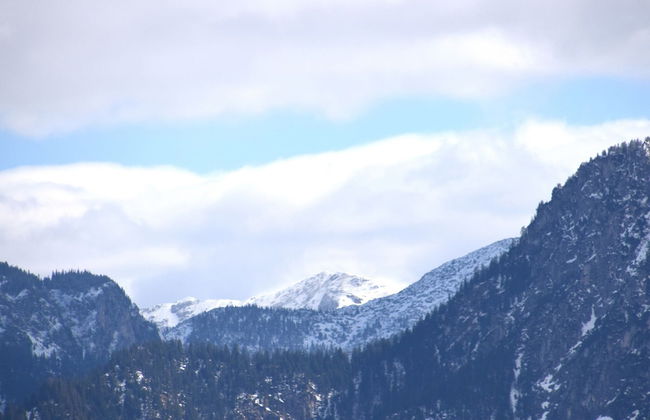 Komfort mit Gartencharme - Foto 35