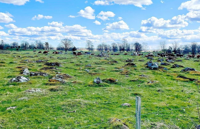 9 Person Holiday Home in Morlunda-by Traum - Foto 22