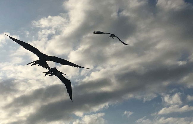 Paddleboard Tour in Holbox - Photo 5