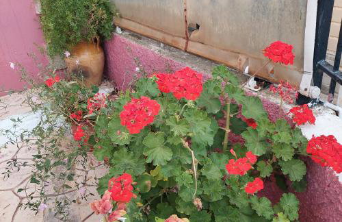 villa kontesa kamara corfu2 - Photo 43