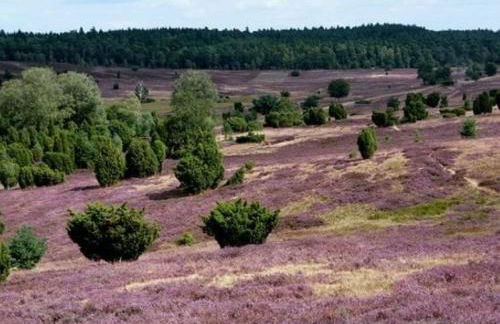 Amazing Holiday Home Near the Lake - Foto 57