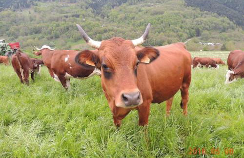 Gîte Les Grands Champs - Foto 70