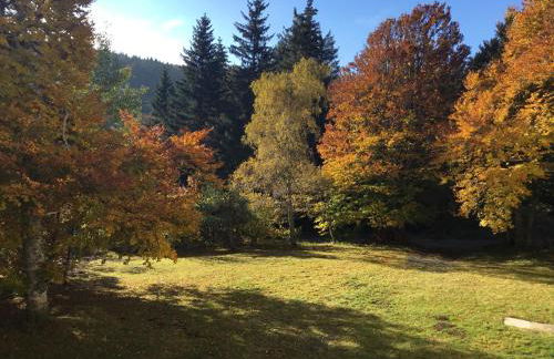 Lo Cantalés d’Aubrac - Photo 13