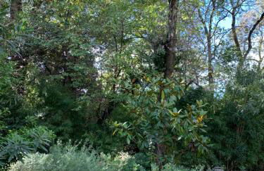 Luxury Home Sweet Home Mougins - Foto 12