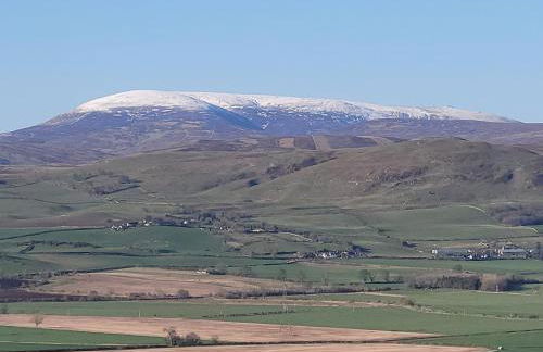 Honeysuckle Cottage - Photo 36