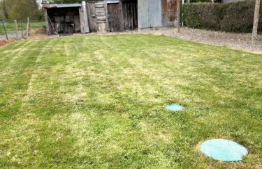 Le petit Morin - Foto 20