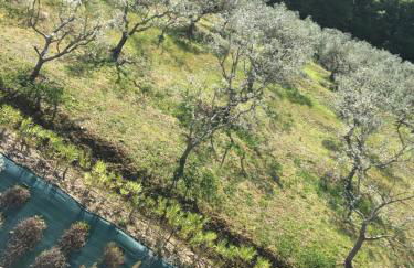 La Dolce Vallata - Foto 24