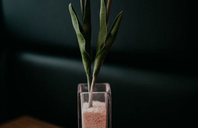 Camino Real Apartments - Foto 50