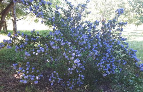 L’escale côté jardin - Foto 12