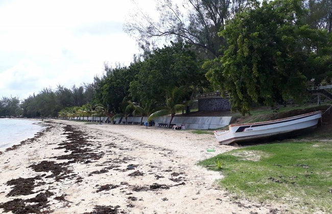 Allamanda Studios and Apartments - Photo 38