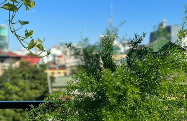 Lanha Hotel-Homestay - Foto 34