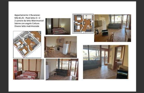 TERMINILLO - I Fiori del Terminillo - Tre Faggi - Foto 70