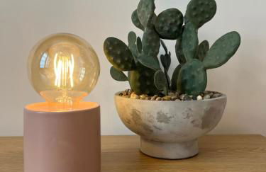 Ágave azul - Foto 22