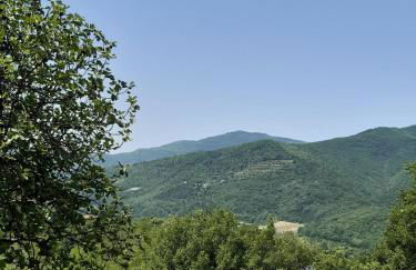 Country Residence Turicchi - Foto 23