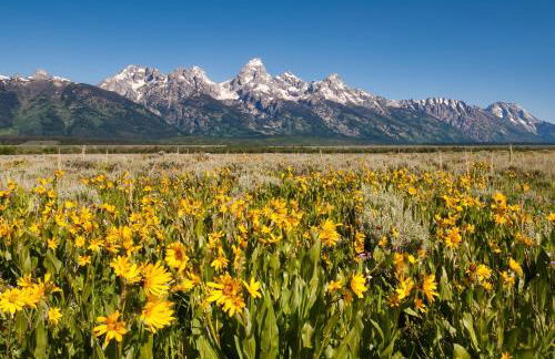 Abode at Granite Ridge | Luxury Lodge - Foto 72