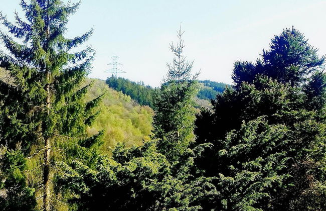 Ortho Hideaway With Garden - Foto 25