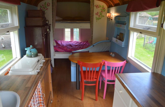 Gypsy Caravan in Weideblick With Farm Animals - Foto 8