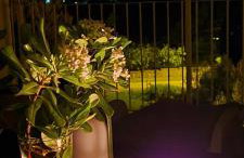 Apartment Bianca Premantura Istrien - Foto 17