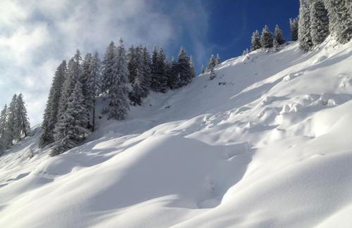 Ferienhof Wäldle - Wäldle 1 und Wäldle 2 mit Motorradvermietung - Photo 80