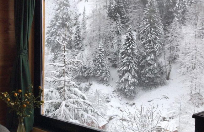 Ayder Dag Evi - Foto 19